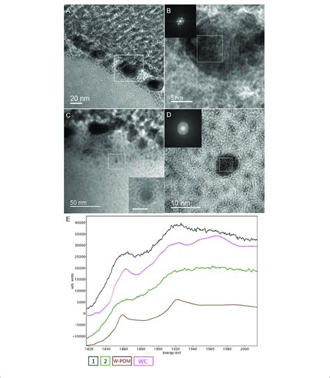 Analytical Spectroscopy Of Biogenic Tungsten Deposits In The Cells Of