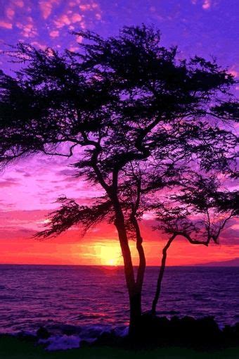 63 Purple Sunsets Ideas Purple Sunset Scenery Sunset