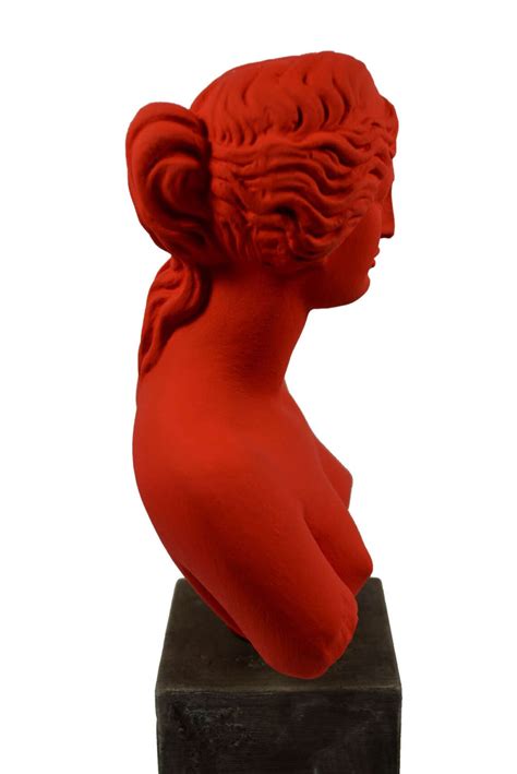 Aphrodite Sculpture Bust Venus Goddess Of Love Statue Artifact Etsy
