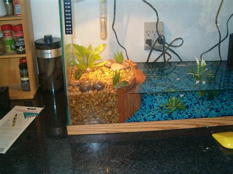 Check spelling or type a new query. Turtle tank | I miss them being small. | Dana Lane | Flickr