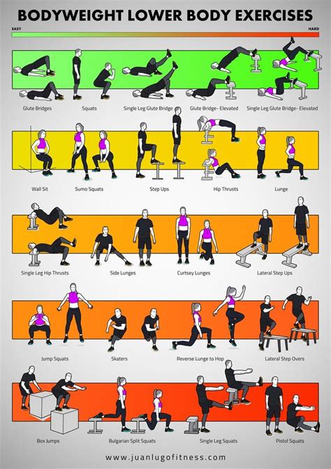 printable bodyweight lower body exercises training poster 16 66 x 23 66 22 illustrated