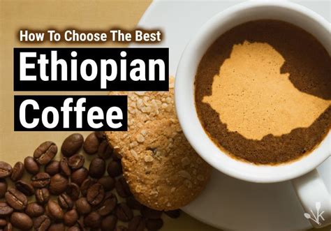 Within those states, trabocca overlays the specific coffee regions with politically defined zones. Best Ethiopian Coffee Brands In 2021 Reviewed | KitchenSanity