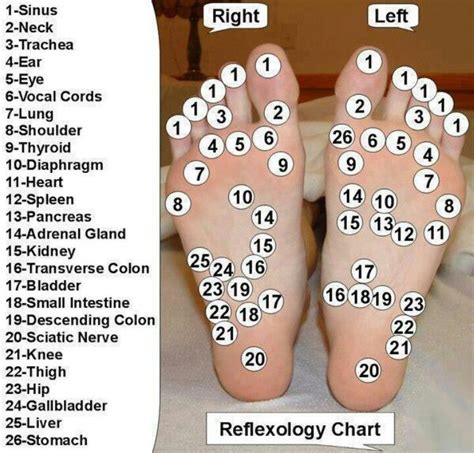For Foot Massages Health Reflexology Fitness