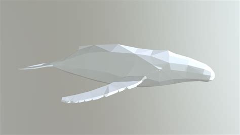 whale 3d model by elsie octopodmadness [96fb12d] sketchfab