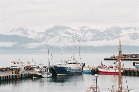 Ships In Harbor And Beautiful Snow Covered Mountains On Horizon In