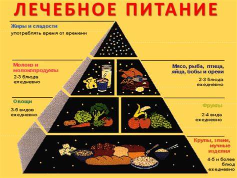 Лечебно диетическое питание диеты Лечебно Профилактические Диеты — Похудение Диета Правильное Питание Лечебно Профилактические Диеты — Похудение Диета Правильное Питание Лечебно диетическое питание диеты