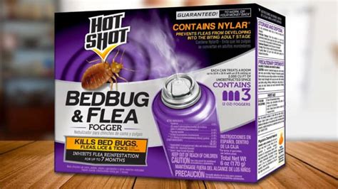 Kill Bed Bugs And Fleas With Hot Shot Fogger How To Use Hot Shot Fogger