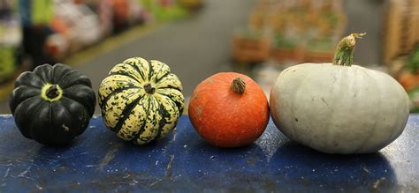Seasonal Highlight For October Squashes Fruit And Veg Blog
