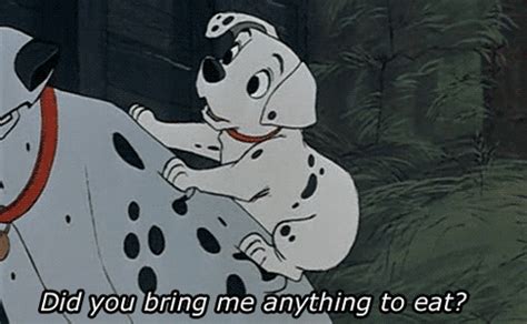 Dalmatian Quotes Quotesgram