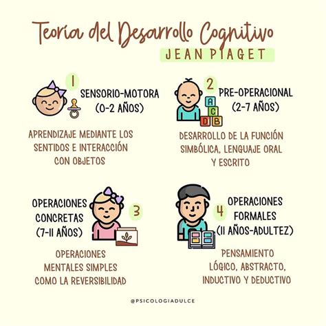 A Teoria De Desenvolvimento Cognitivo De Piaget Inclui