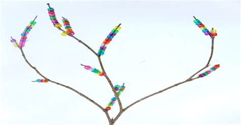 Beaded Branches Aussie Childcare Network