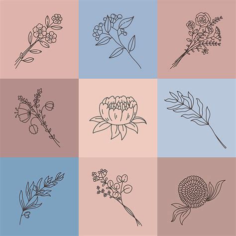 유토이미지 Minimalist line flowers Simple poster with abstract meadow bouquet Elegant outline