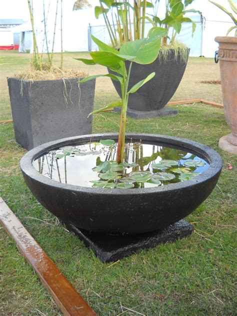30 Surprising Indoor Water Garden Ideas