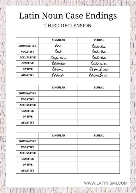 Latin Third Declension Nouns Worksheet Nouns Worksheet Nouns Latin