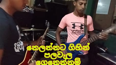 නෙලන්නට ගිහින් පලවැල ගෙනෙන්නම් ඉතින් Nelannata Ghin Palawela Youtube