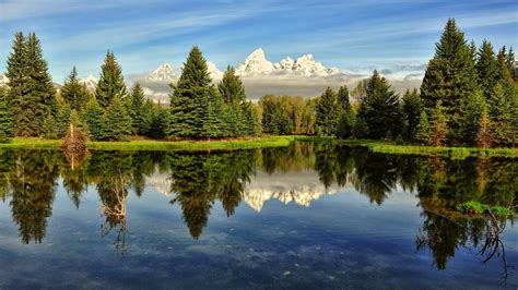 Nature Scenery Lake Trees Water Reflection High Definition Wallpapers