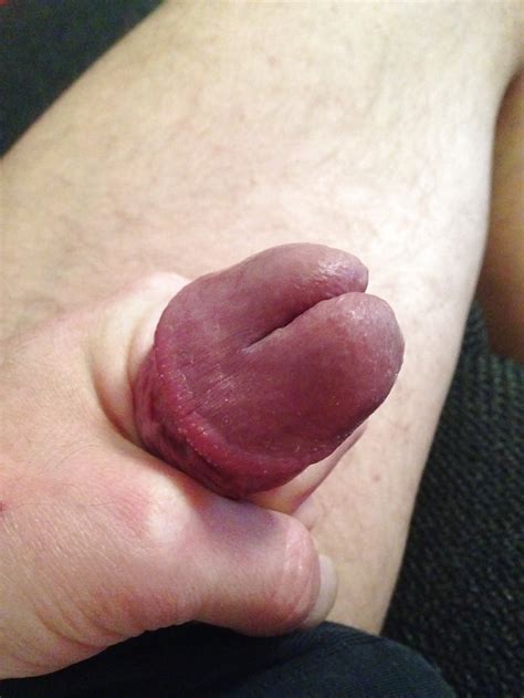 Split Penis Glands Xxx Porn