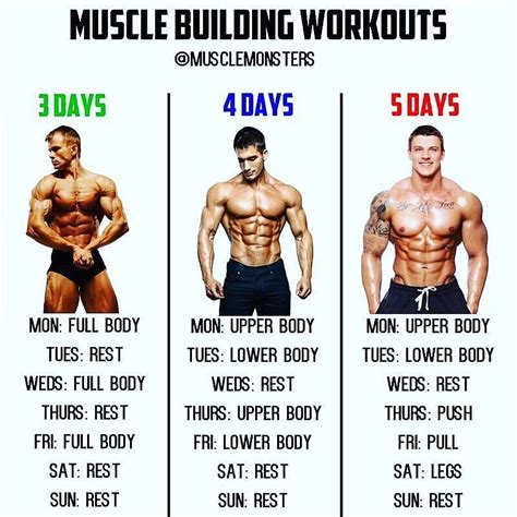 5 Day Pull Day Workout Muscle Groups For Build Muscle Fitness And