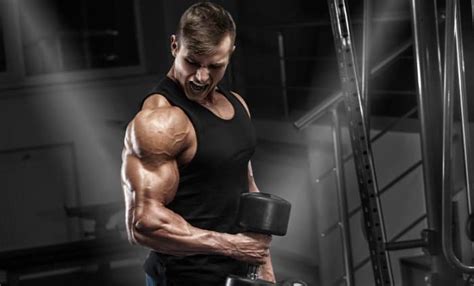 How To Build Bigger Biceps Optimal Training