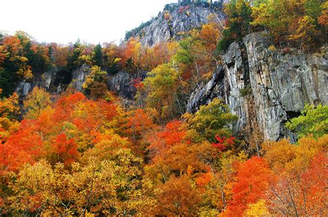 This Fall Foliage Train Through New Hampshire Is Stunning