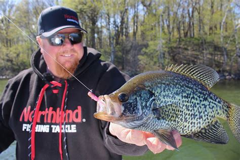 Crappie Fishing Tips The Fishing Wire