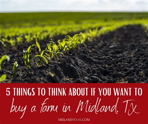 5 Things You Need To Know Before You Buy A Farm In Midland Homes For
