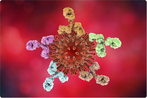 Breakthrough Antibody Treatment Suppresses Hiv Without Antivirals