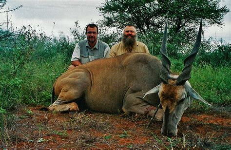 Hunting Eland In South Africa With The Best Eland Hunters In Afica