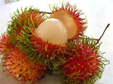ChÔm ChÔm Rambutan Hairy Fruitblue Sky Travel