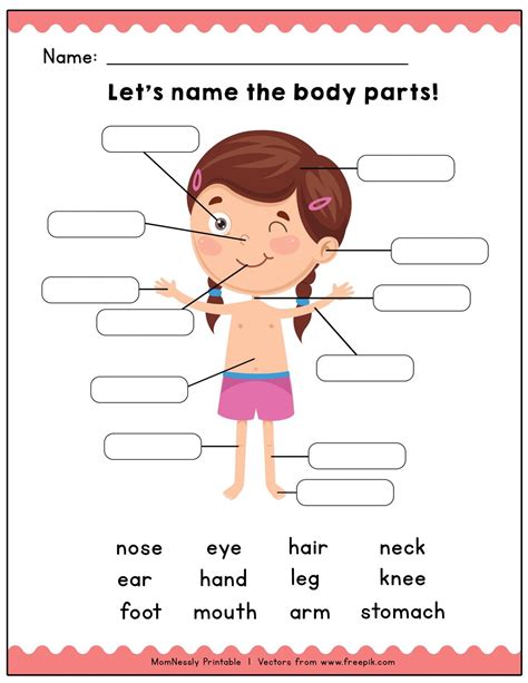 Pin On Science Worksheets Body Parts Online Worksheet For
