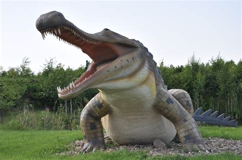 Free Images Animal Fauna Alligator Dinosaur Tyrannosaurus