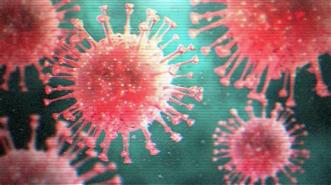 Coronavirus How Are Patients Treated Bbc News