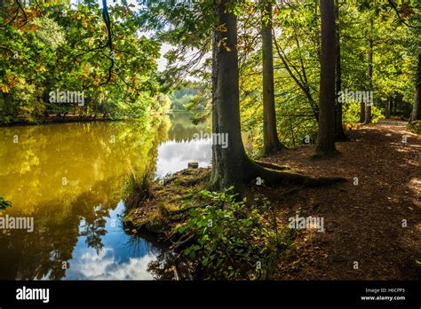 Mallards Pike In The Forest Of Dean Gloucestershire Stock Photo Alamy