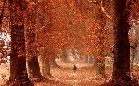 An Autumn Day In Srinagar Indian Administered Kashmir Rimagesofindia