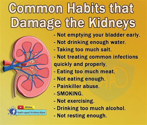 What Is Bad For Your Kidneys