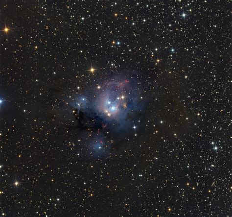 ngc 7129 | Astronomy, Astronomy pictures, Space and astronomy