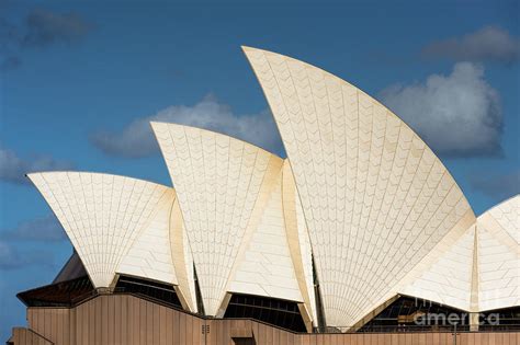 Opera House Sails Photograph By Andrew Michael Pixels