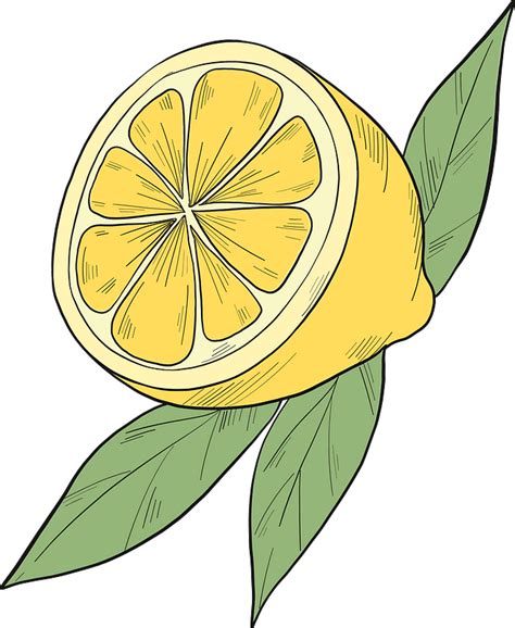 Half Lemon Clipart Free Download Transparent Png Creazilla