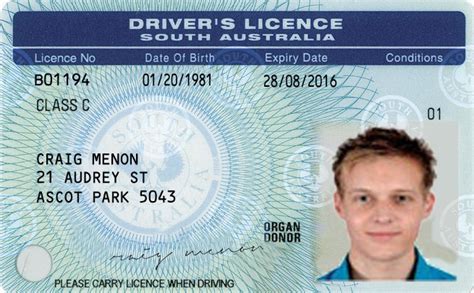 Fake Drivers License Template S Download 15 Fake Id Templates Download