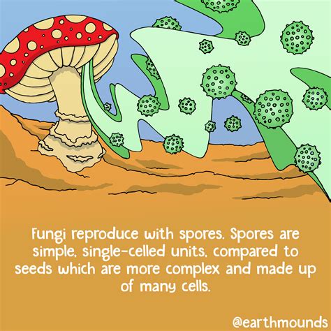 Pin By Earth Mounds On Education Cool Science Facts Science Facts