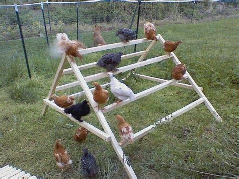 20 Comfy Diy Backyard Projects Ideas For Your Pets In 2020 Chickens