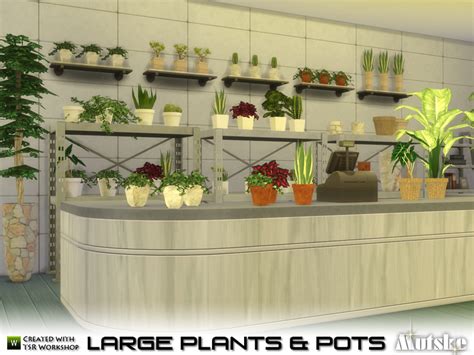Mutskes Large Plant And Pots
