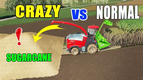 Farming Simulator 19 Amazing Sugarcane Harvesters Crazy Vs Normalkrone Bigx Youtube