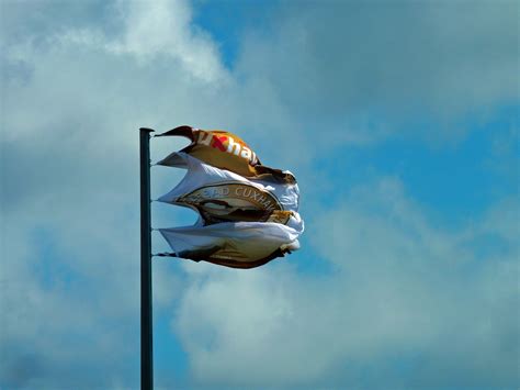 Free Images Water Bird Cloud Reflection Flight Flag Weather