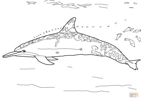 You will find it in our first grade coloring pages and worksheets. Get This Free Printable Dolphin Coloring Pages for Kids ...