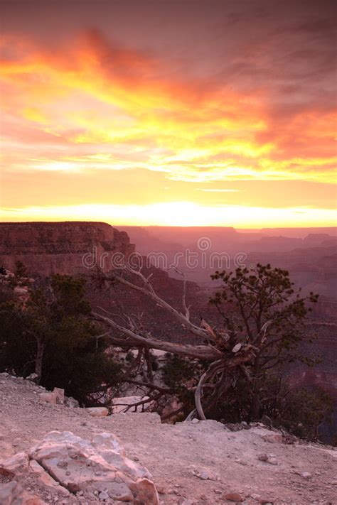 The Grand Canyon Arizona Stock Image Image Of Color 2759667
