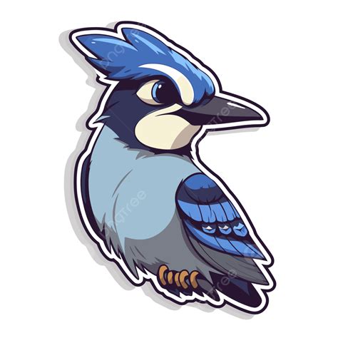 Cartoon Blue Jay Png Vector Psd And Clipart With Transparent
