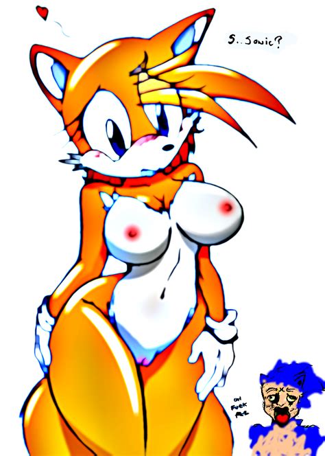 Rule 34 Anthro Breasts Canine Female Fox Front View Fur Hedgehog
