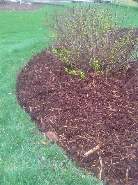2030 Edging For Mulch Bed