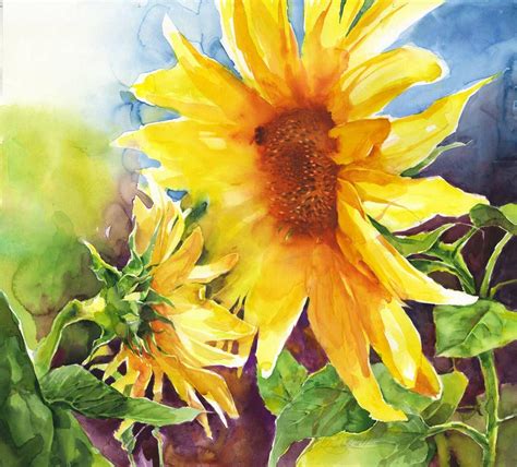 Olga Sternik Watercolor Sunflowers 2 Sunflower Art Flower